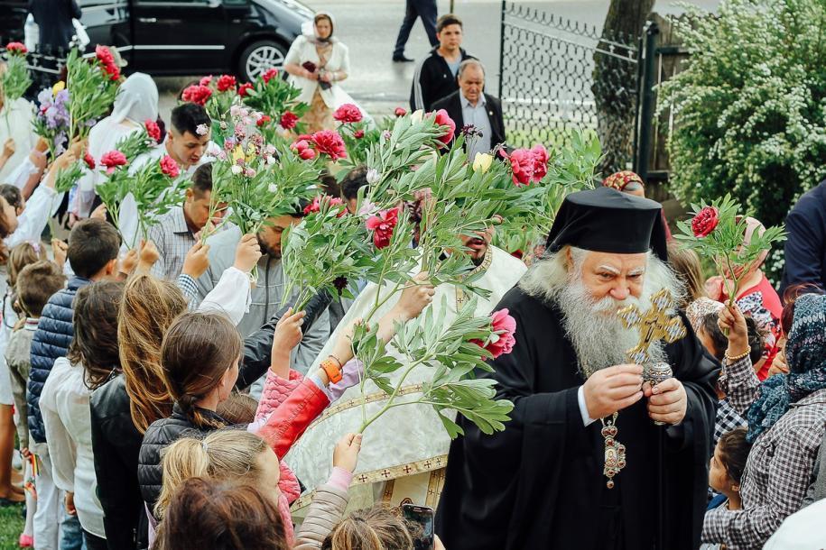 Foto: Alexandru Pohaţă