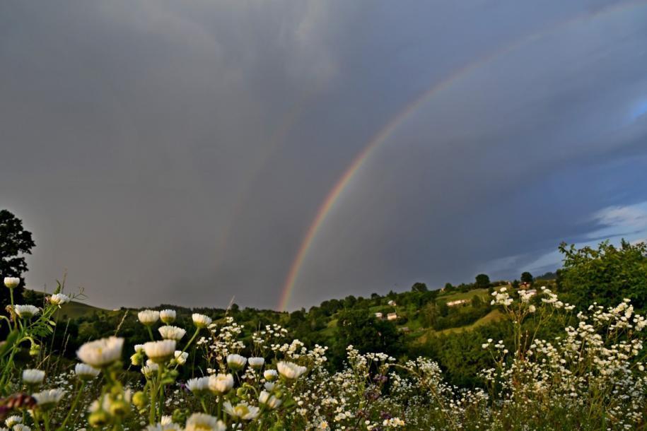 Foto: Constantin Ciofu