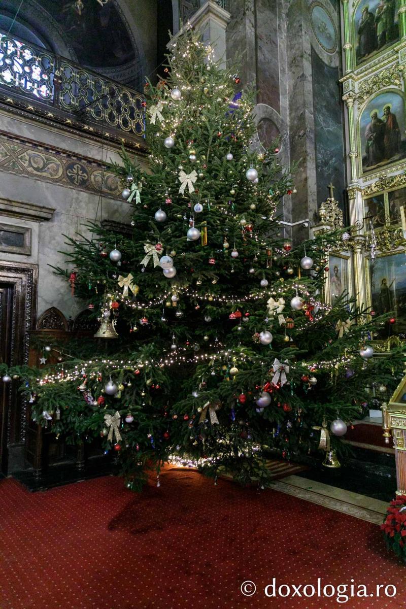 Bradul de Crăciun de la Catedrala Mitropolitană din Iași / Foto: pr. Silviu Cluci